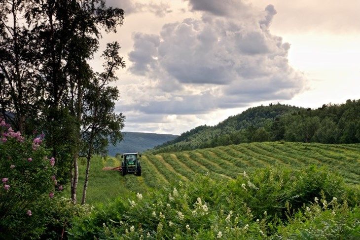 grasslatt-landbruk-gress-jorde-traktor_foto-arne-johanson-