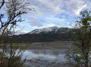 IMG_4051