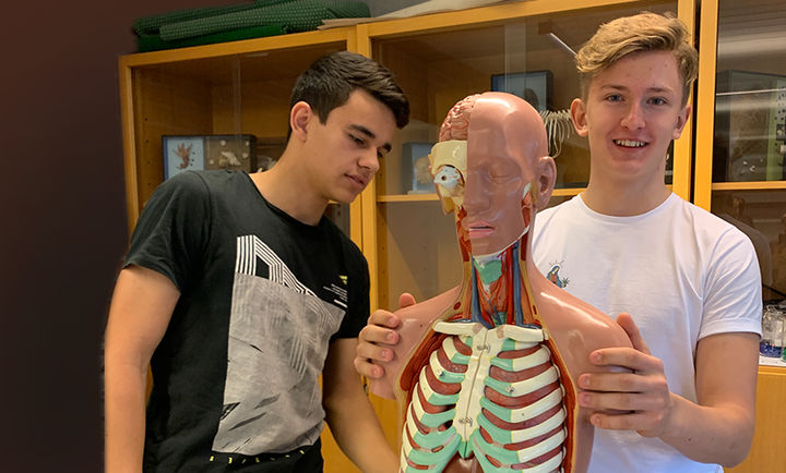 Utdanningsval hausten 2019