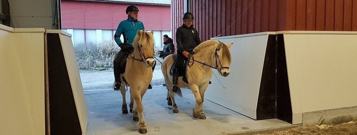 Lærarar på skulehestane ved inngangen til ridehallen