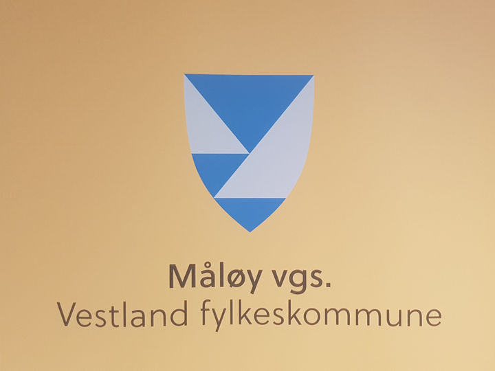 Ny logo MVS 2020