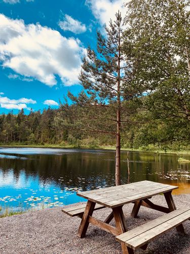Moseidtjønna_lysløypa
