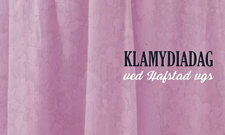 Klamydiadag 2 ved Hafstad vgs