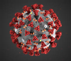 Koronavirus
