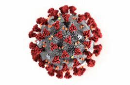 Koronavirus