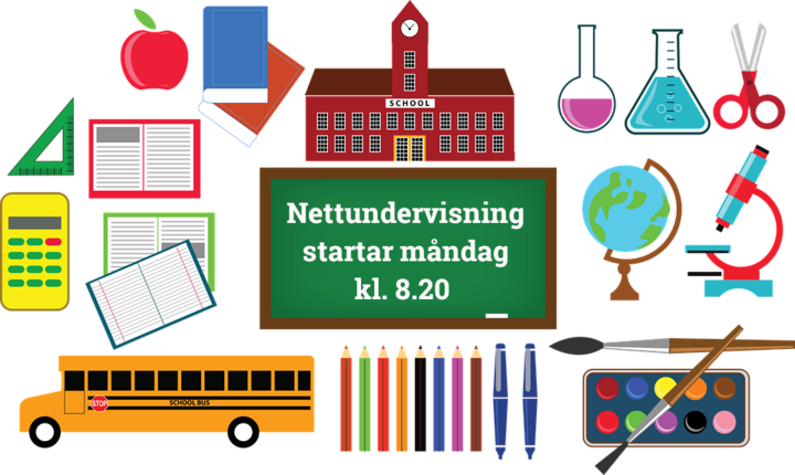 nettundervisning