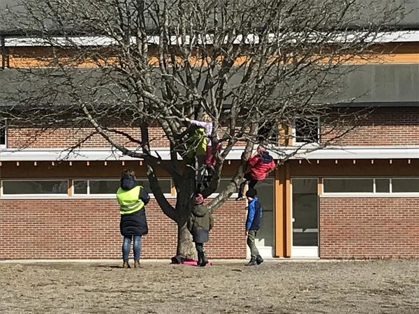 vår ved hallen