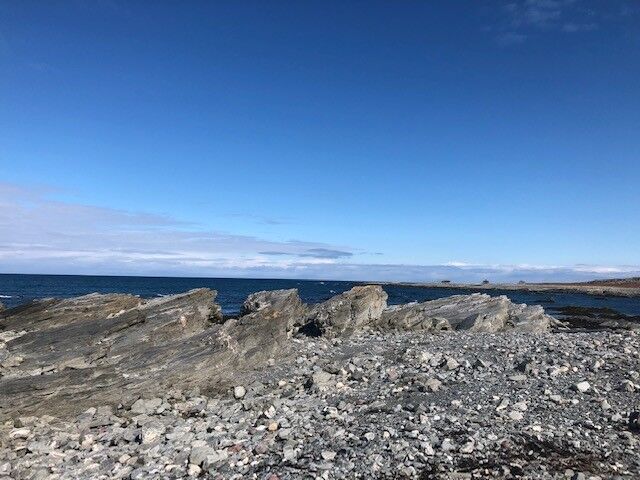 Russehavna1