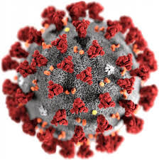 Koronaviruset