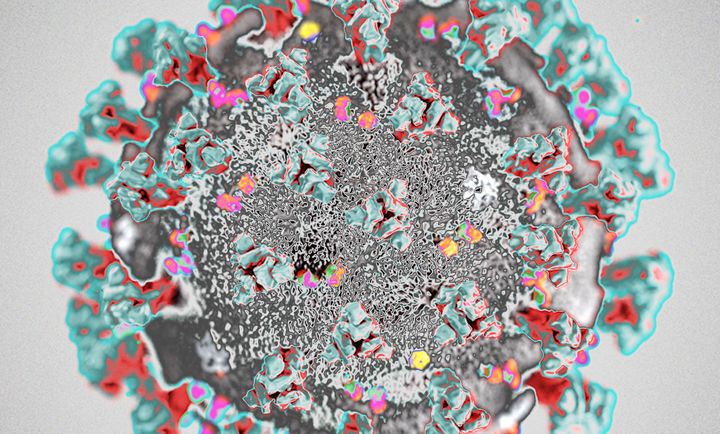 Koronavirus