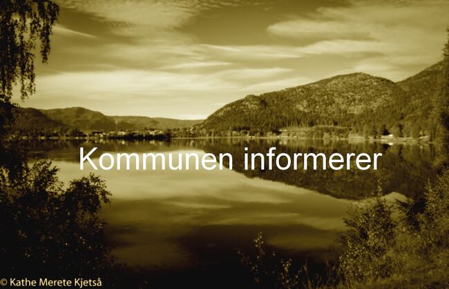 Kommunen informerer 2020