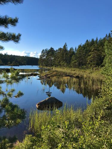 Skulebergvannet