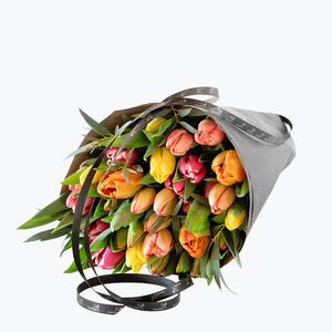 210169_blomster_tulipaner