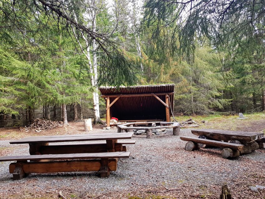 Lulledalen mai 2019_Maja S Kvalvik (3)
