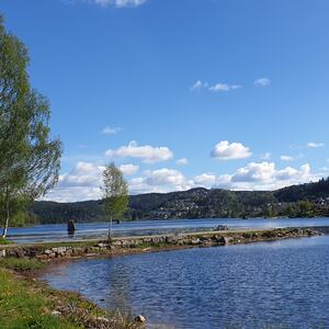 Venneslafjorden
