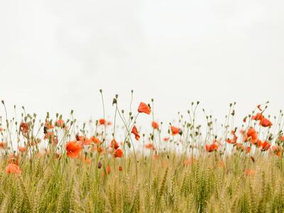 henry-be-IicyiaPYGGI-unsplash