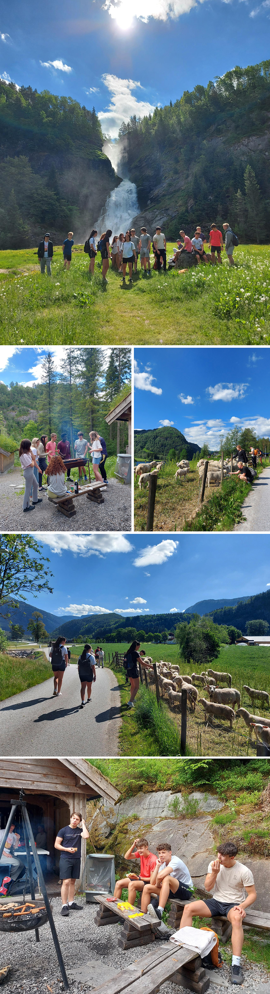 Fotocollage, elevar på tur til Mo.jpg