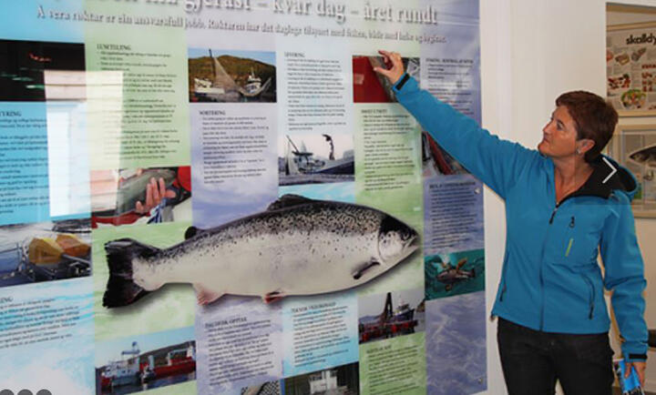 Steinvik fiskefarm