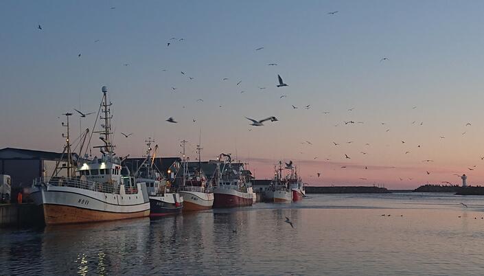 Berlevåg havn 1