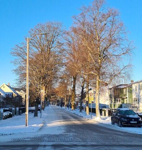 Neseveien - vinterstid