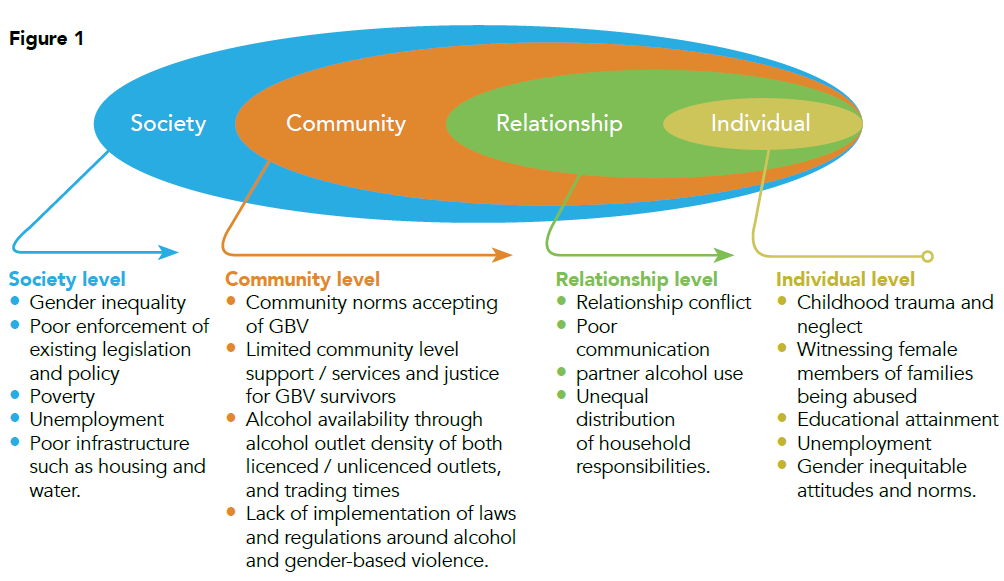 Figure illustrating drivers of GBV at multiple levels