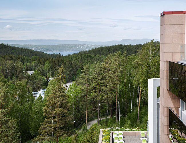 Rosenholm Campus. Byggets brukere har god tilgang til natur. Foto: Inger Marie Grini/Aspelin Ramm