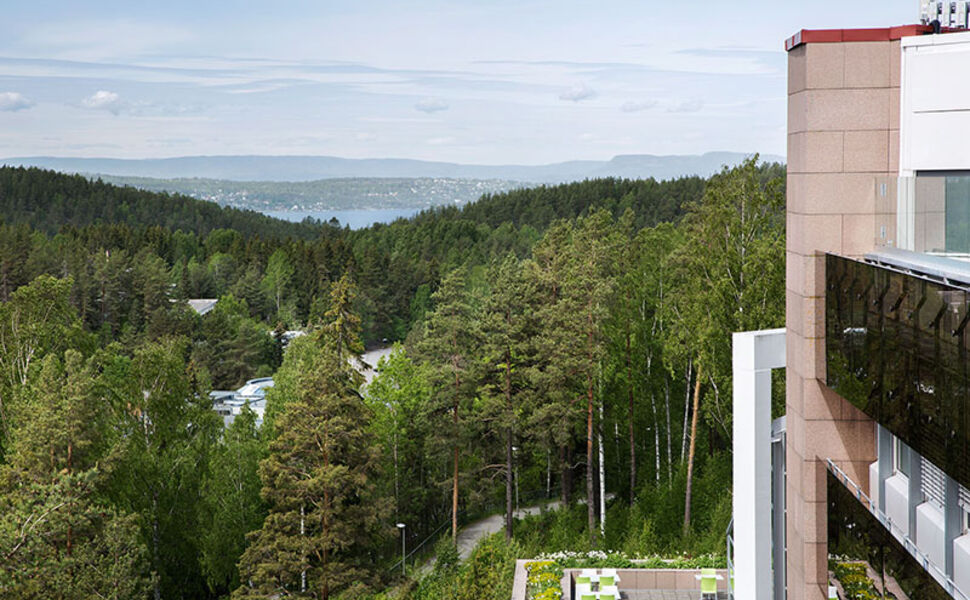 Rosenholm Campus. Byggets brukere har god tilgang til natur. Foto: Inger Marie Grini/Aspelin Ramm