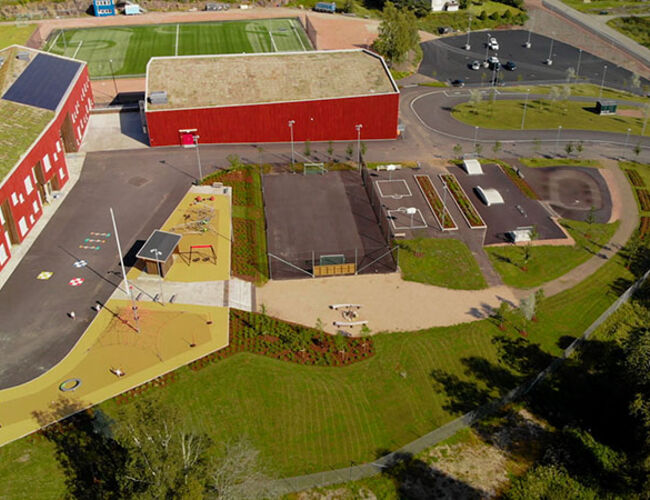  På Kodal skole er det lagt sedum-tak for å fordrøye vannmengder. Foto: Ektvedt AS/Klikkbar.no