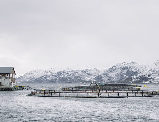 Stadig flere oppdrettsanlegg tar i bruk batteripakker for å redusere utslippene fra fôrflåtene. Foto: Enova<br /><br />