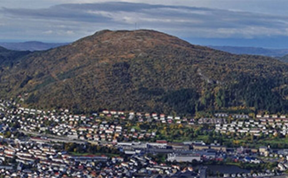 Fjellet Løvstakken i Bergen. Foto: Jan Kochbach, CMR<br />