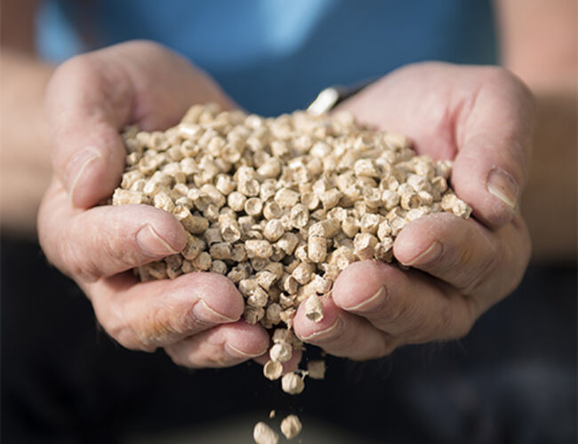 Pellets. Foto: Enova