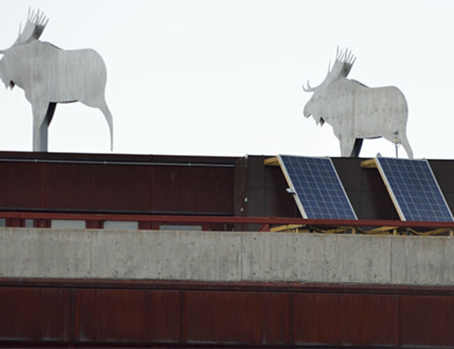 Solcellepanelene på Tynset rådhus yter 250 watt hver. Foto: Tekniske Nyheter