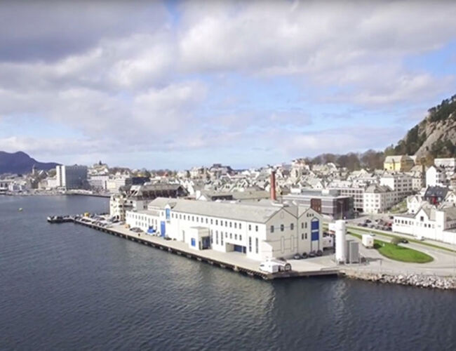 Tine Ålesund. Foto: Tine