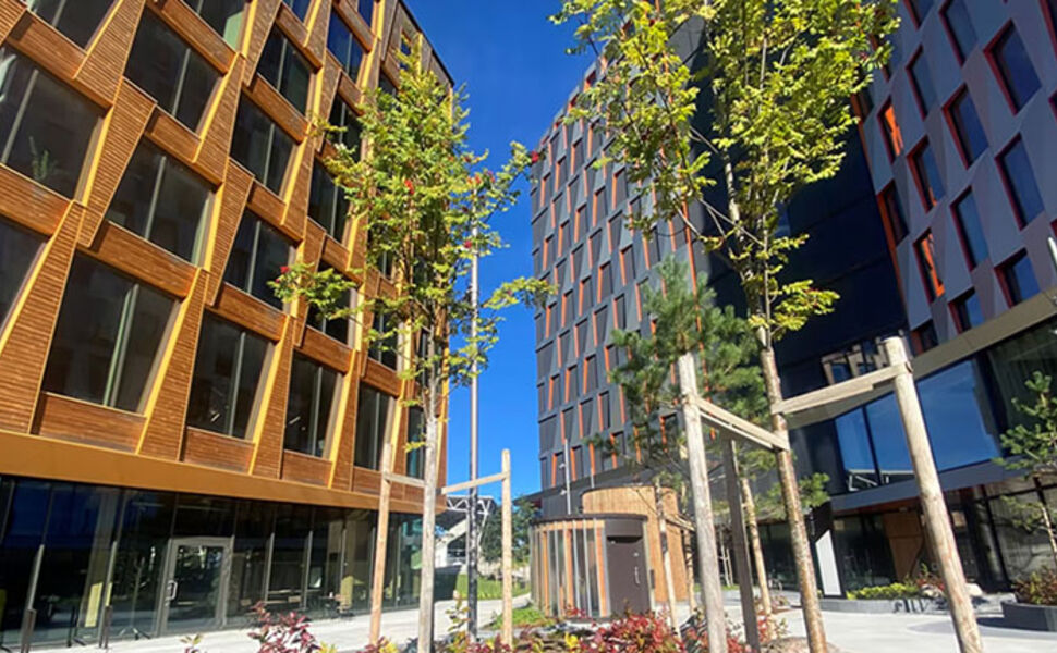 BREEAM-NOR Excellent-sertifiserte Valle Wood er Norges største næringsbygg i massivtre, et materiale som har halvparten så stort CO2-utslipp sammenlignet med stål og betong. Foto: Grønn Byggallianse