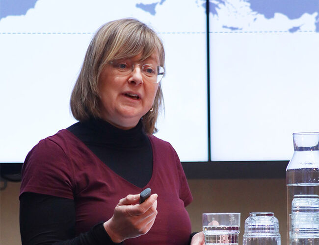 Energieffektivisering kan vi begynne med raskt, samtidig som vi bygger ut mer kraft, mener Jeanette Iren Moen i Norsk Industri. Foto: Thea Müller