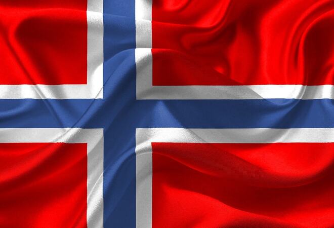 Norske flagg[1]