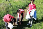 Yaman, Edris og Mehrshad plukker søppel