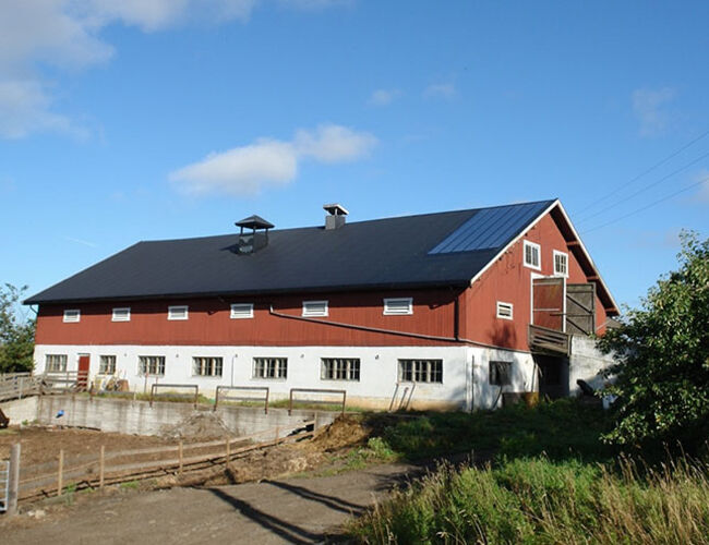 Gården Alm Østre har montert 20 kvadratmeter med solfangere på låvetaket, noe som er nok til å dekke 50 prosent av varmebehovet i melkefjøset, med 25 melkekyr. Solfangerne skal sørge for varmtvann til rengjøring av utstyr og annet.  Foto: Sebastian Bühler