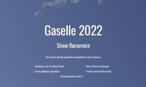 Gaselle 2022 (3)[1]