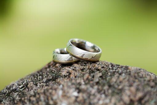 To gifteringer på en stein, med grønn bakgrunn