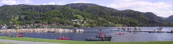 sommervikarer