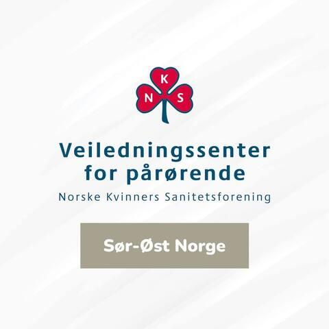 Logo Veiledningssenter for pårørende Sør-Øst Norge