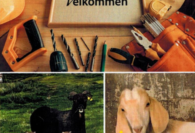 Illustrasjonsbilder av dyr og verktøy