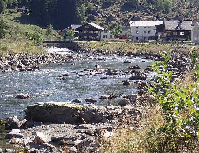 Miljøtilpasset erosjonssikring med spirende kantvegetasjon i Flåmselva. Foto: Ulrich Pulg
