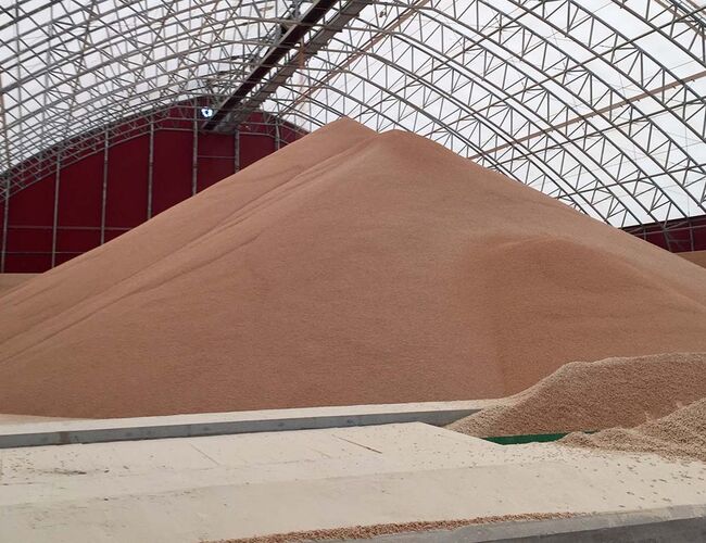 Tilførselen av pellets til det svenske markedet økte med cirka 150 000 tonn i 2022 sammenliknet med 2021. Foto: Sofie Samuelsson