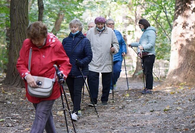 Eldre som går tur i skogen