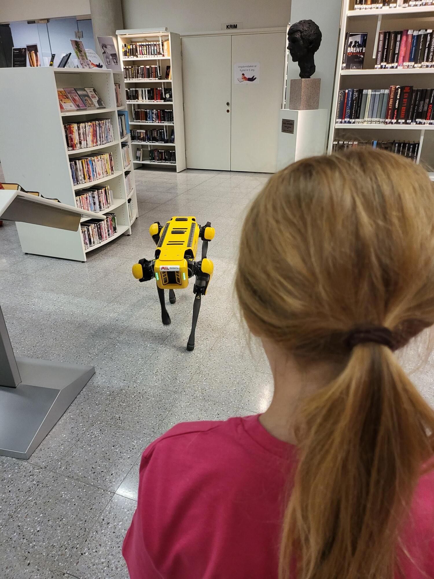 Jente betrakter en gul robothund