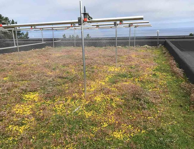 Ved hjelp av en regnsimulator testet forskerne løsninger under ekstremforhold. Det blågrønne taket består av sedum og 100 mm lettklinker. Det ble benyttet nedbørintensitet tilsvarende 20- til 200-årshendelser for Trondheim, Bergen og Oslo. Foto: Edvard Sivertsen/SINTEF