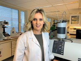 New webinar