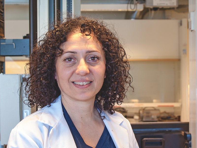 Maria Kassapidou – my experience as a visiting researcher at NIOM